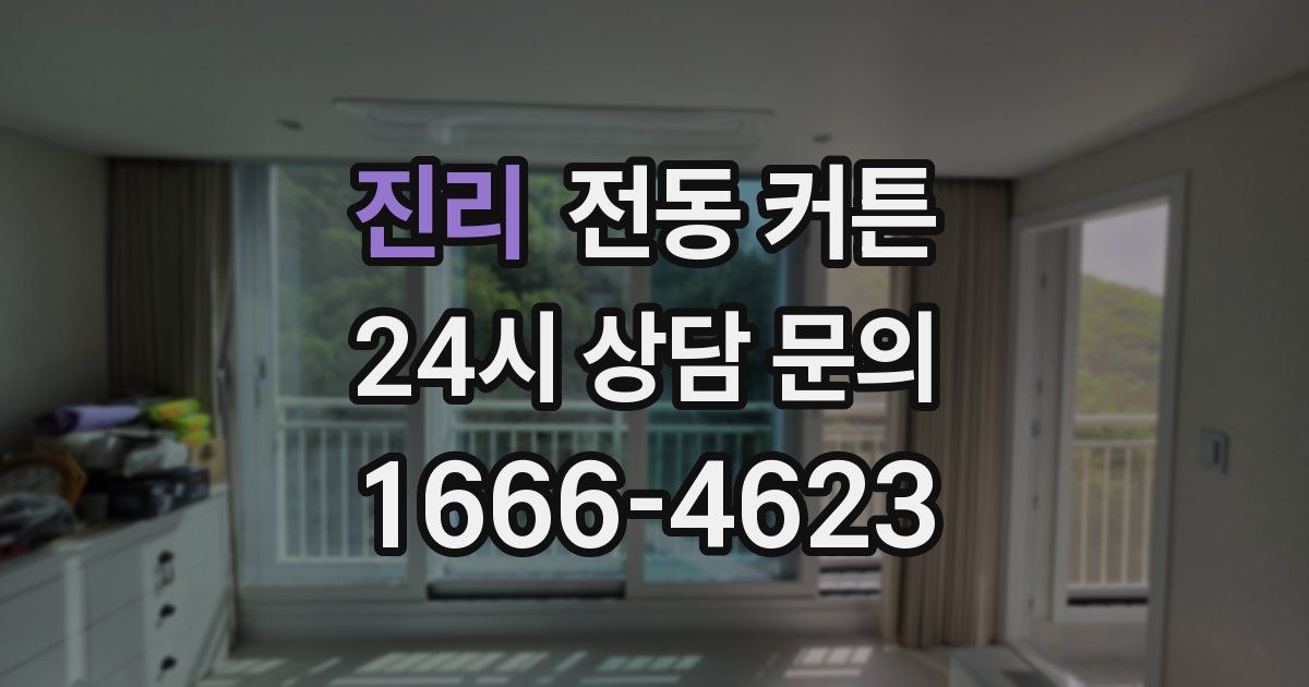 진리 전동 커튼