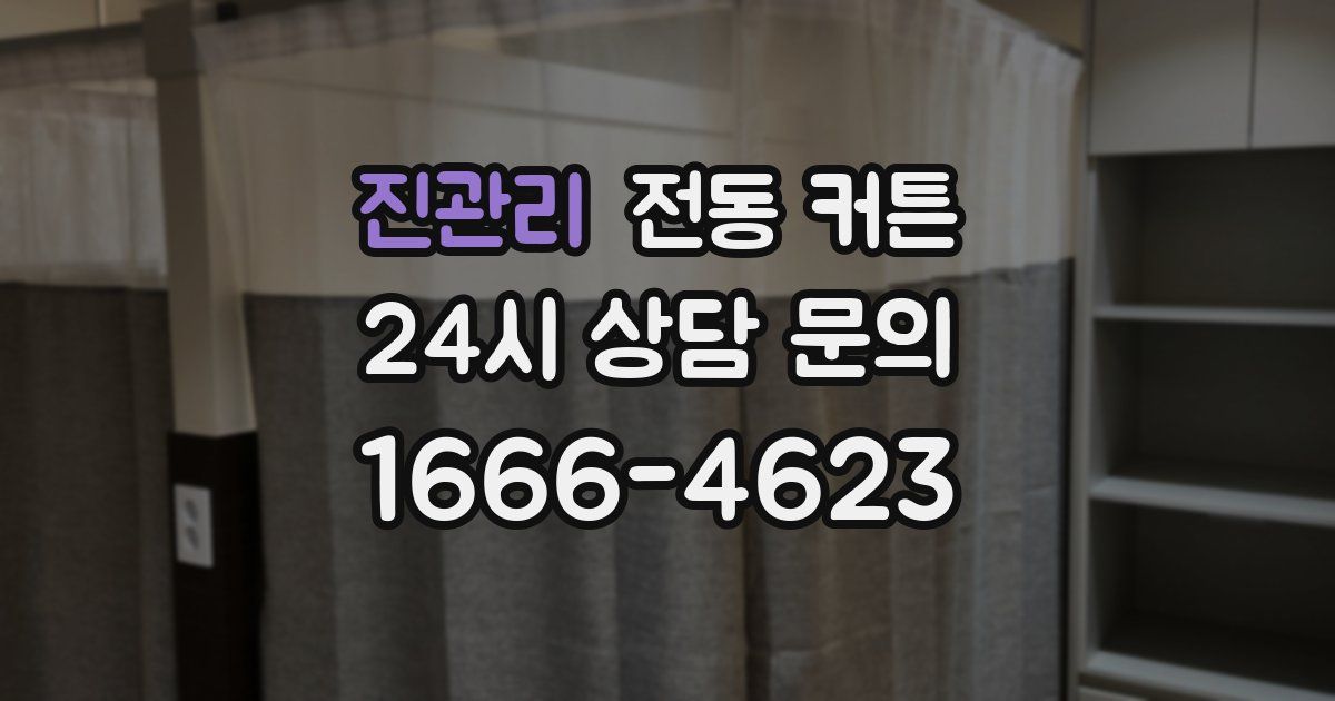 진관리 전동 커튼