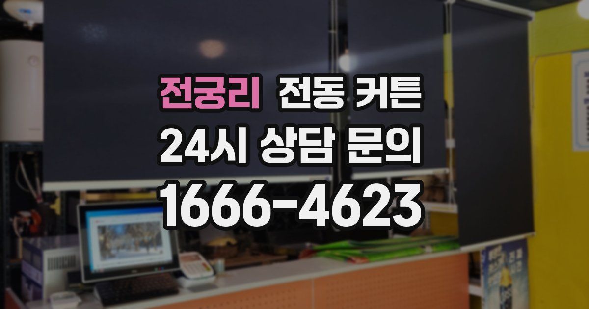 전궁리 전동 커튼