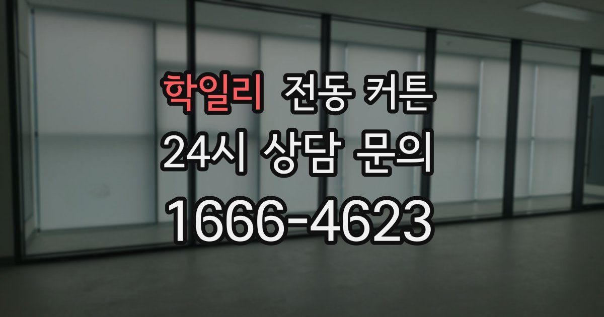 학일리 전동 커튼