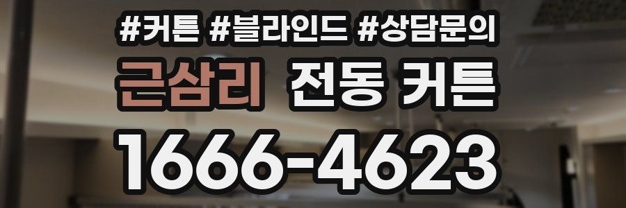 근삼리 전동 커튼