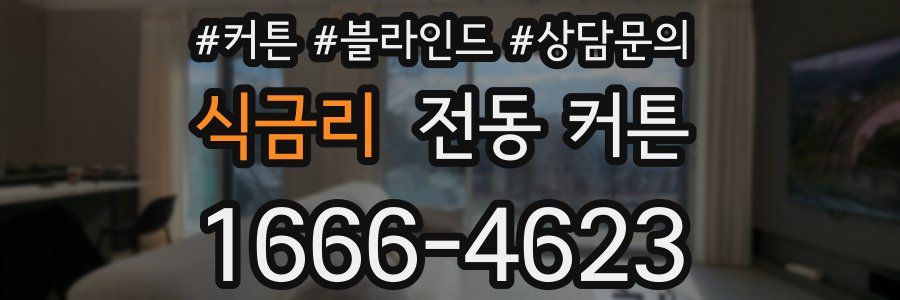 식금리 전동 커튼