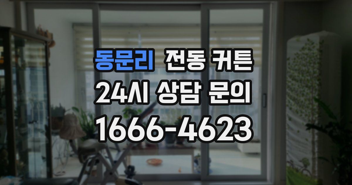동문리 전동 커튼