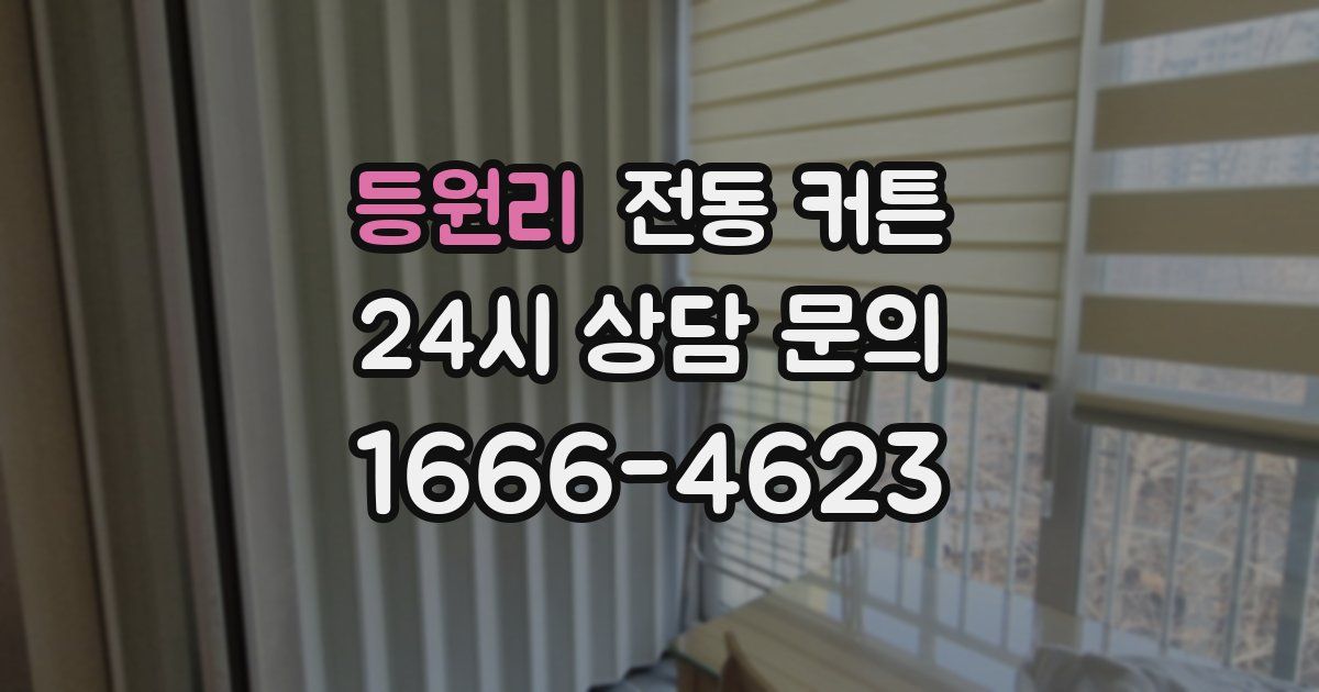 등원리 전동 커튼