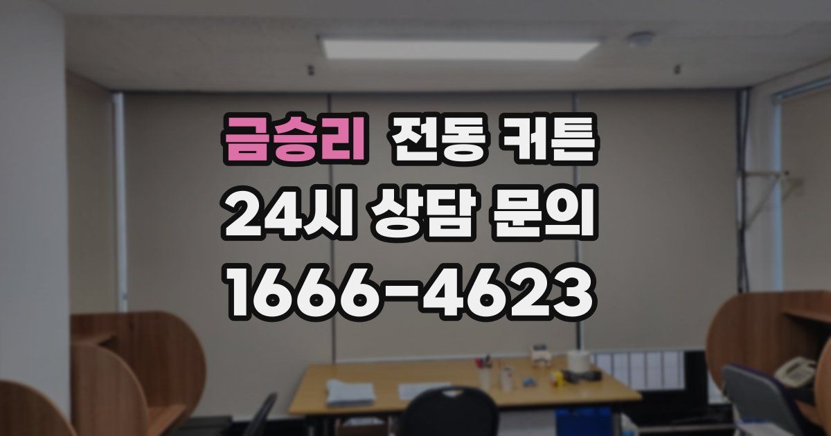 금승리 전동 커튼