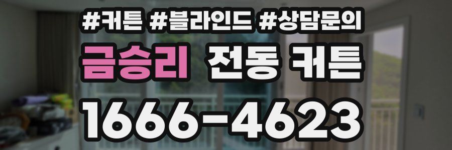 금승리 전동 커튼
