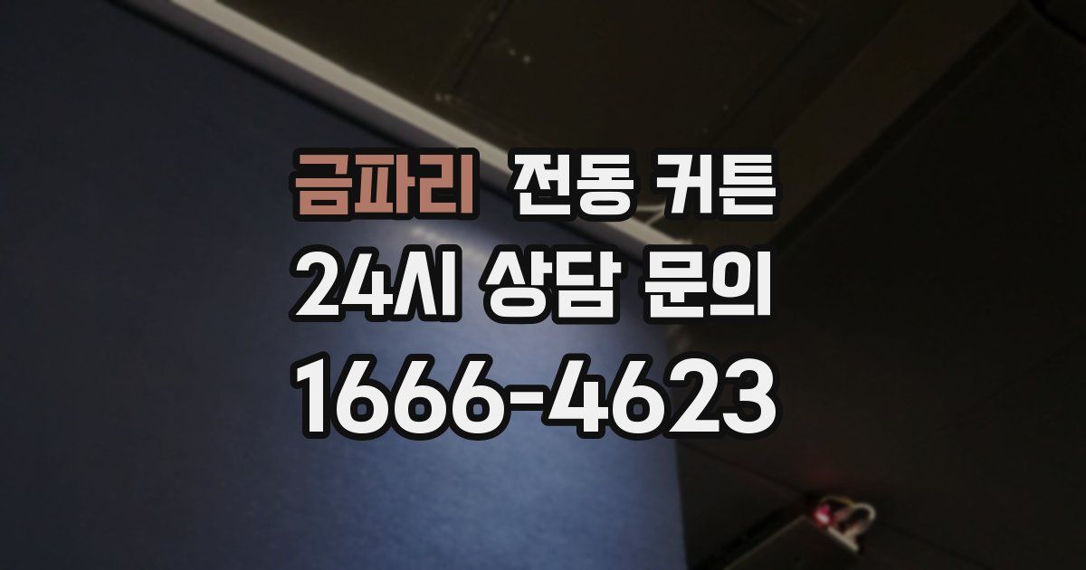 금파리 전동 커튼