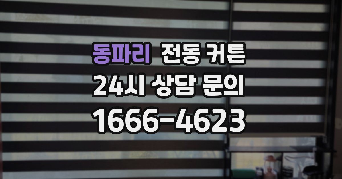 동파리 전동 커튼