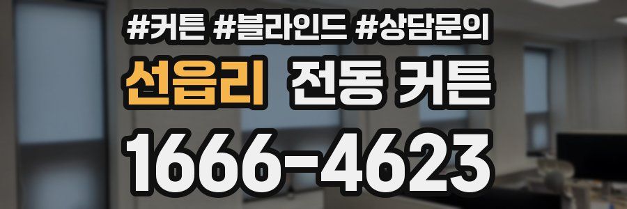 선읍리 전동 커튼