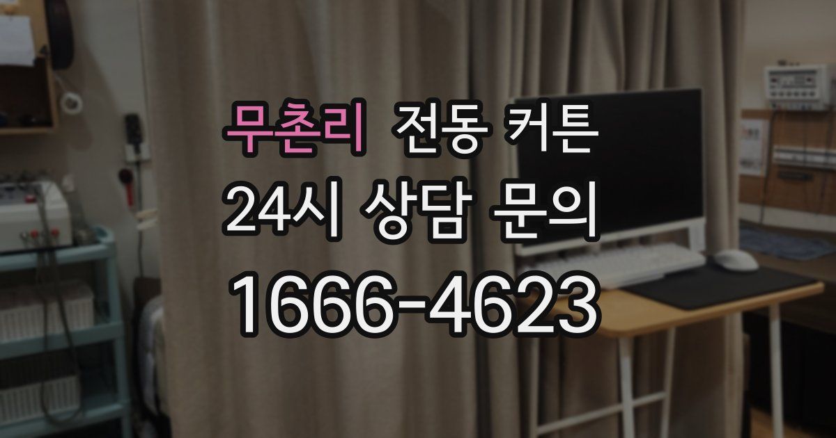 무촌리 전동 커튼