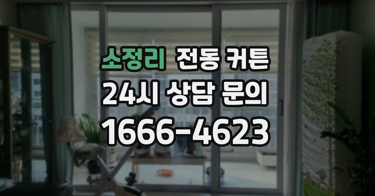 소정리 전동 커튼