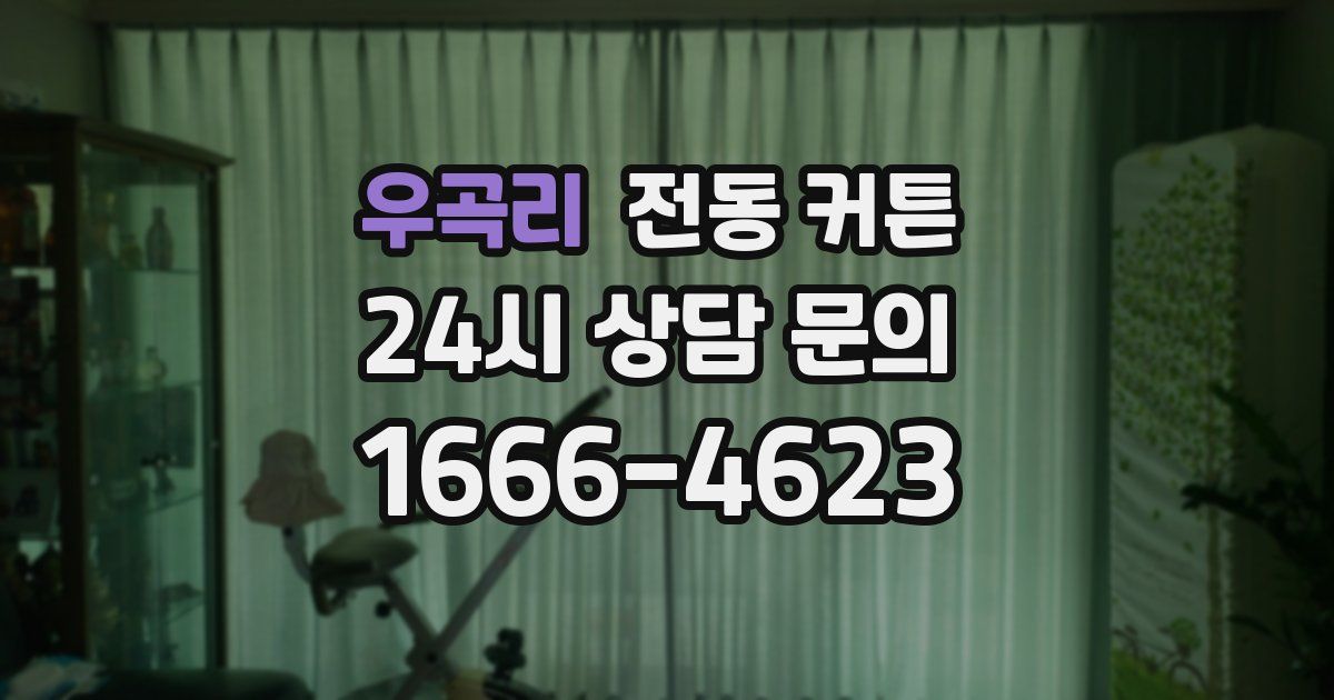 우곡리 전동 커튼