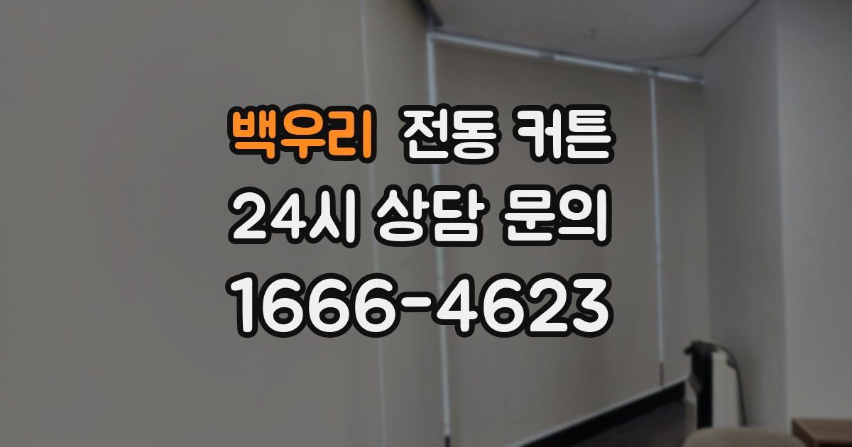 백우리 전동 커튼