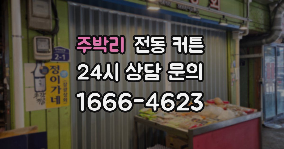 주박리 전동 커튼