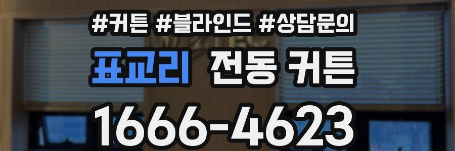 표교리 전동 커튼