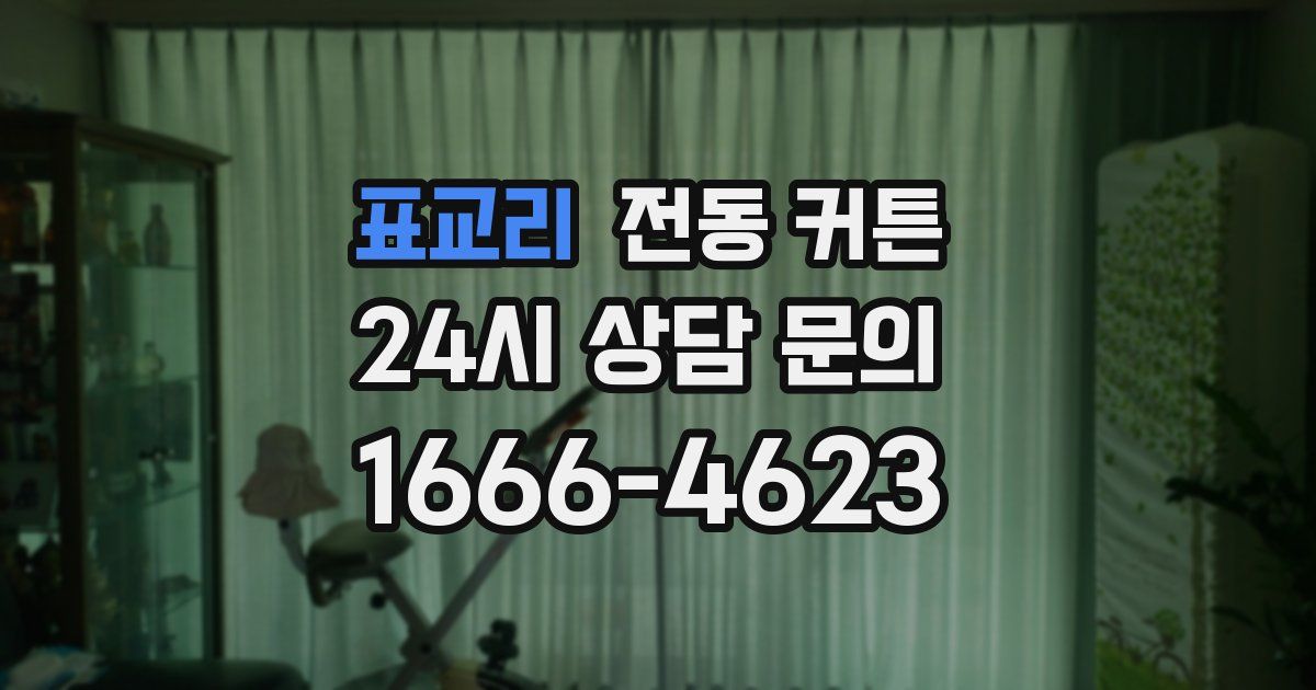 표교리 전동 커튼