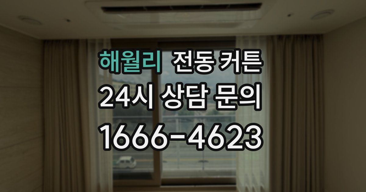 해월리 전동 커튼