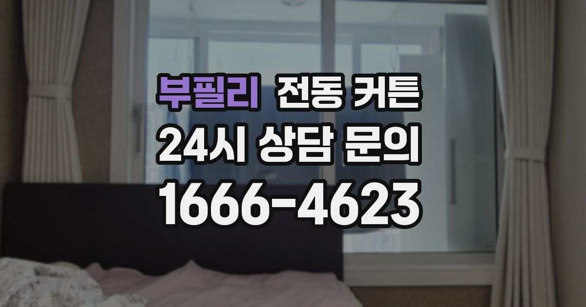 부필리 전동 커튼