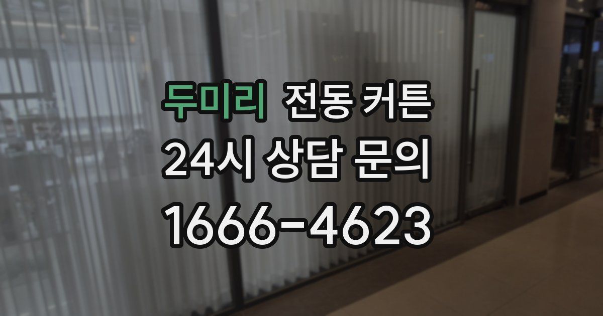 두미리 전동 커튼