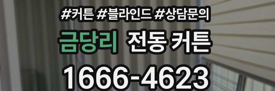 금당리 전동 커튼