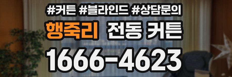 행죽리 전동 커튼