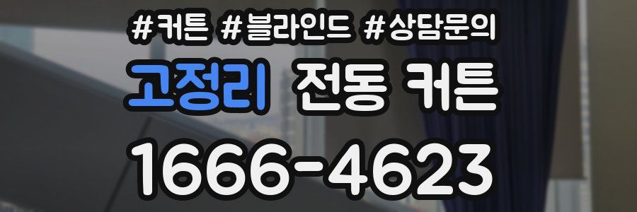 고정리 전동 커튼