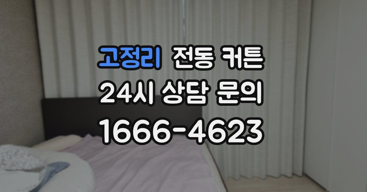 고정리 전동 커튼