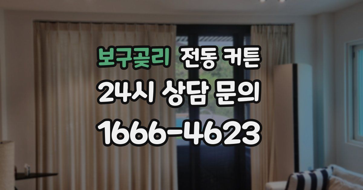 보구곶리 전동 커튼