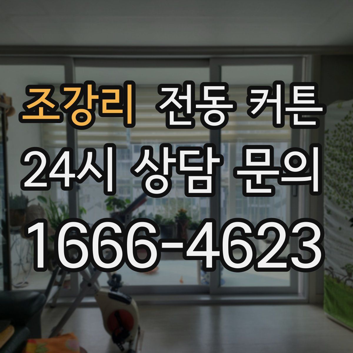 조강리 전동 커튼