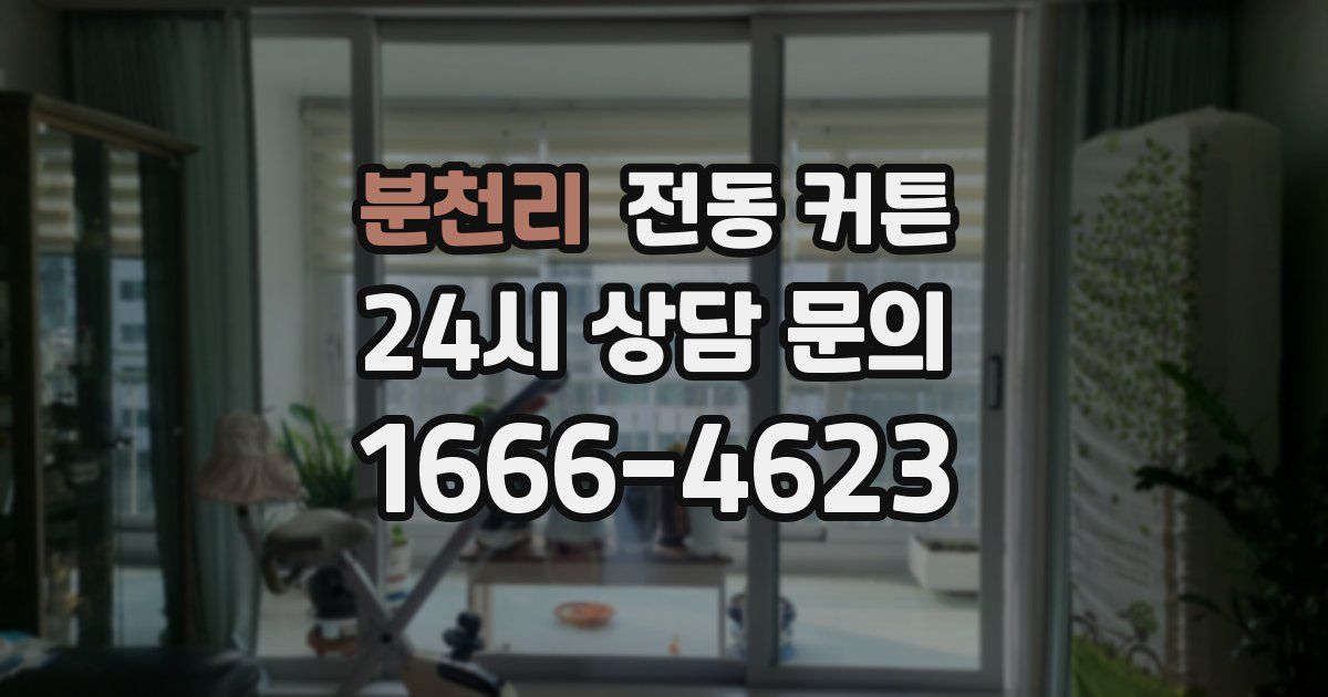 분천리 전동 커튼