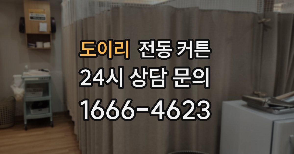 도이리 전동 커튼