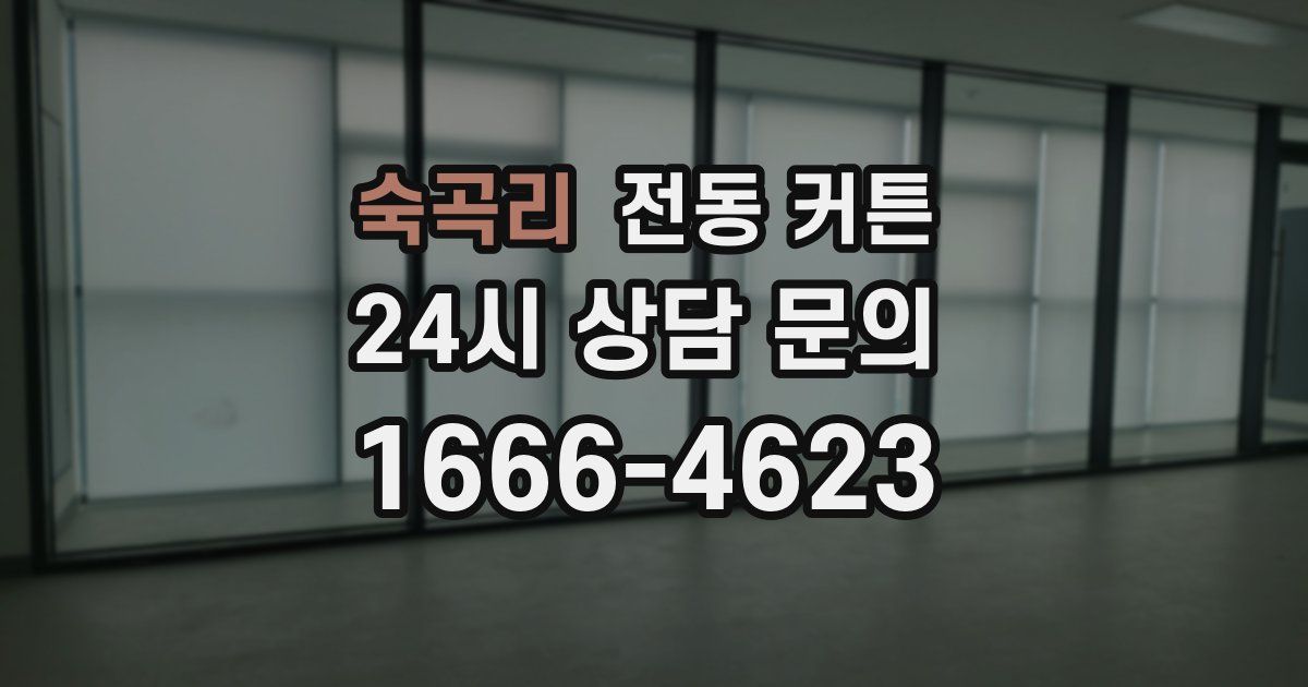 숙곡리 전동 커튼