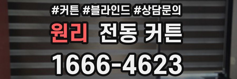 원리 전동 커튼
