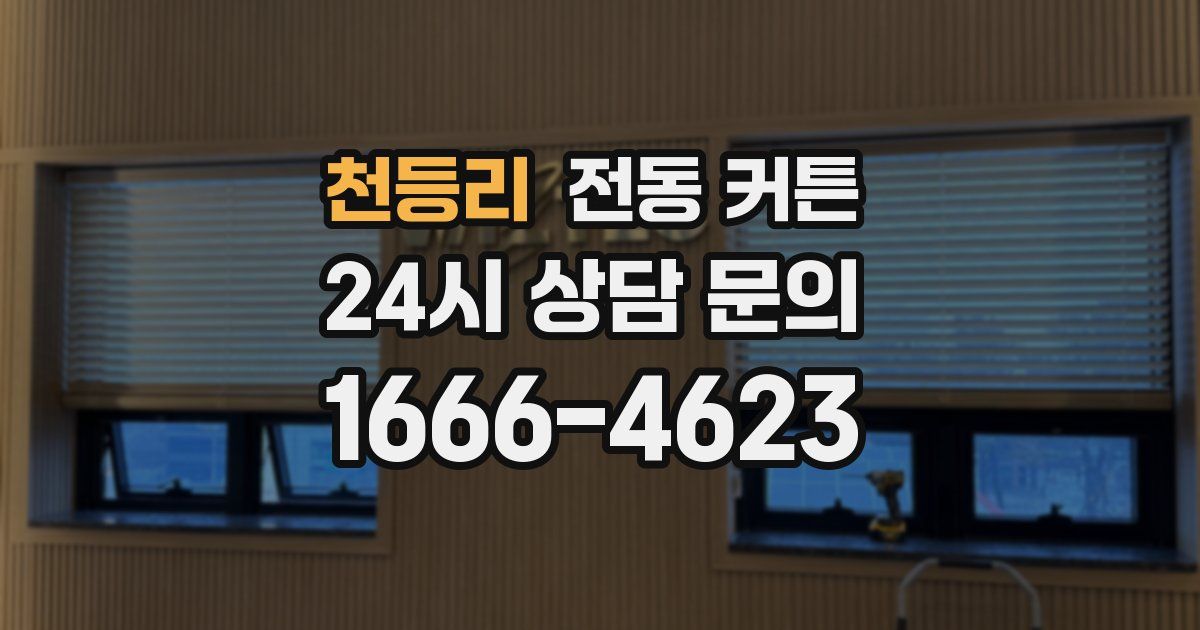 천등리 전동 커튼