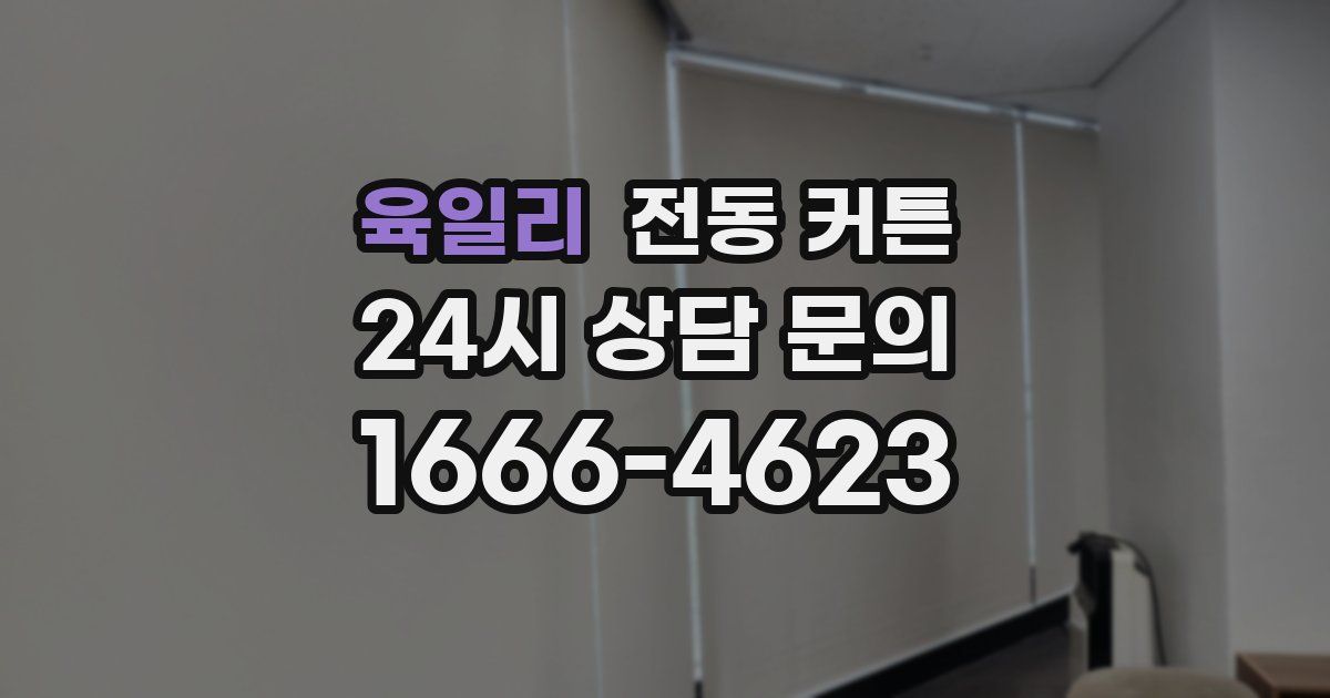육일리 전동 커튼