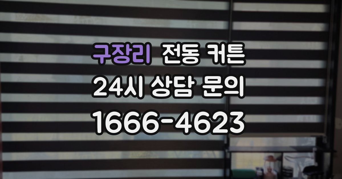 구장리 전동 커튼