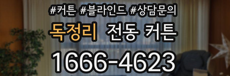 독정리 전동 커튼