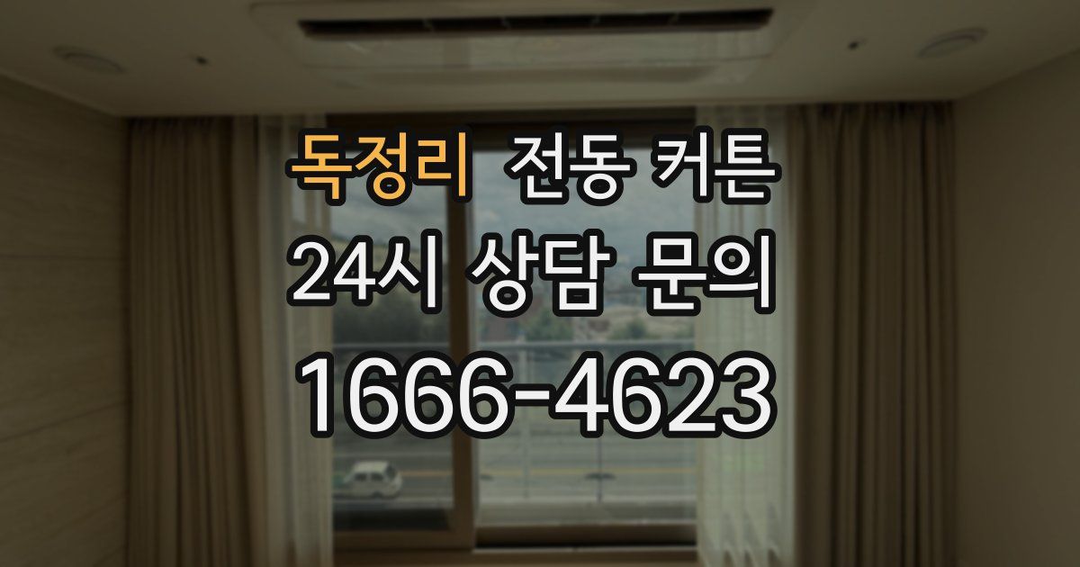 독정리 전동 커튼