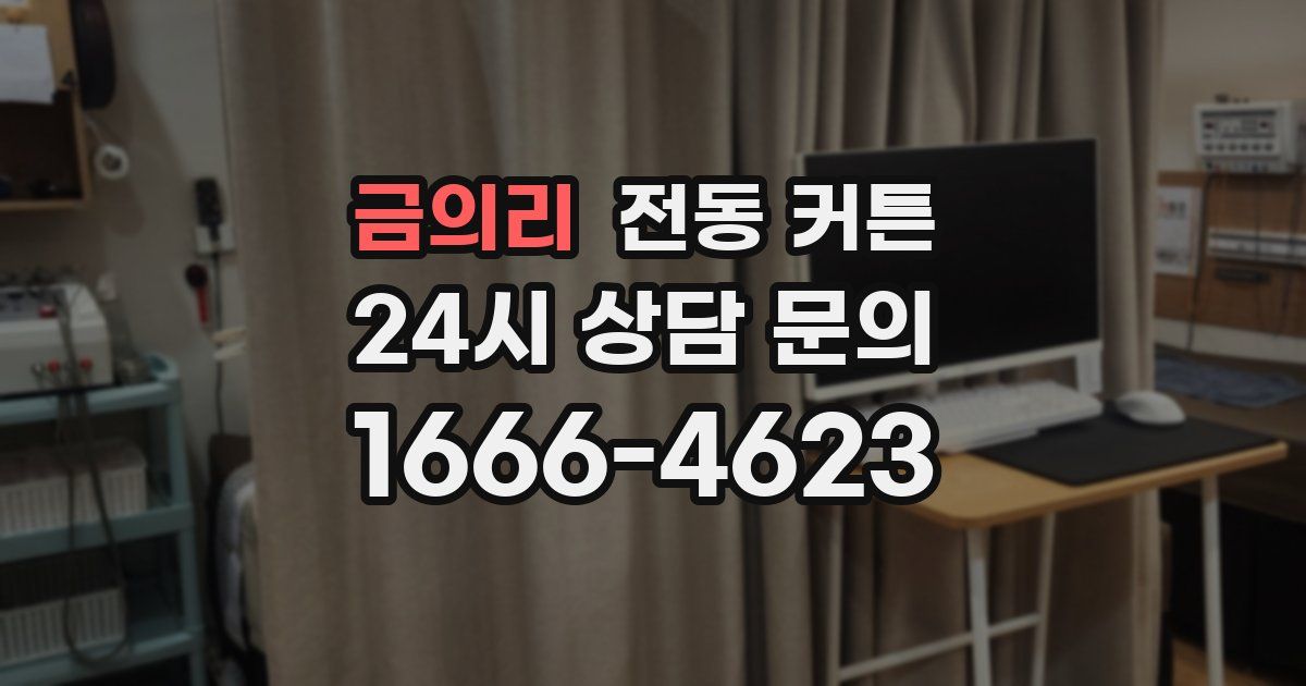금의리 전동 커튼
