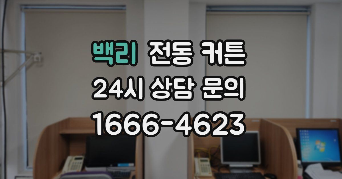 백리 전동 커튼
