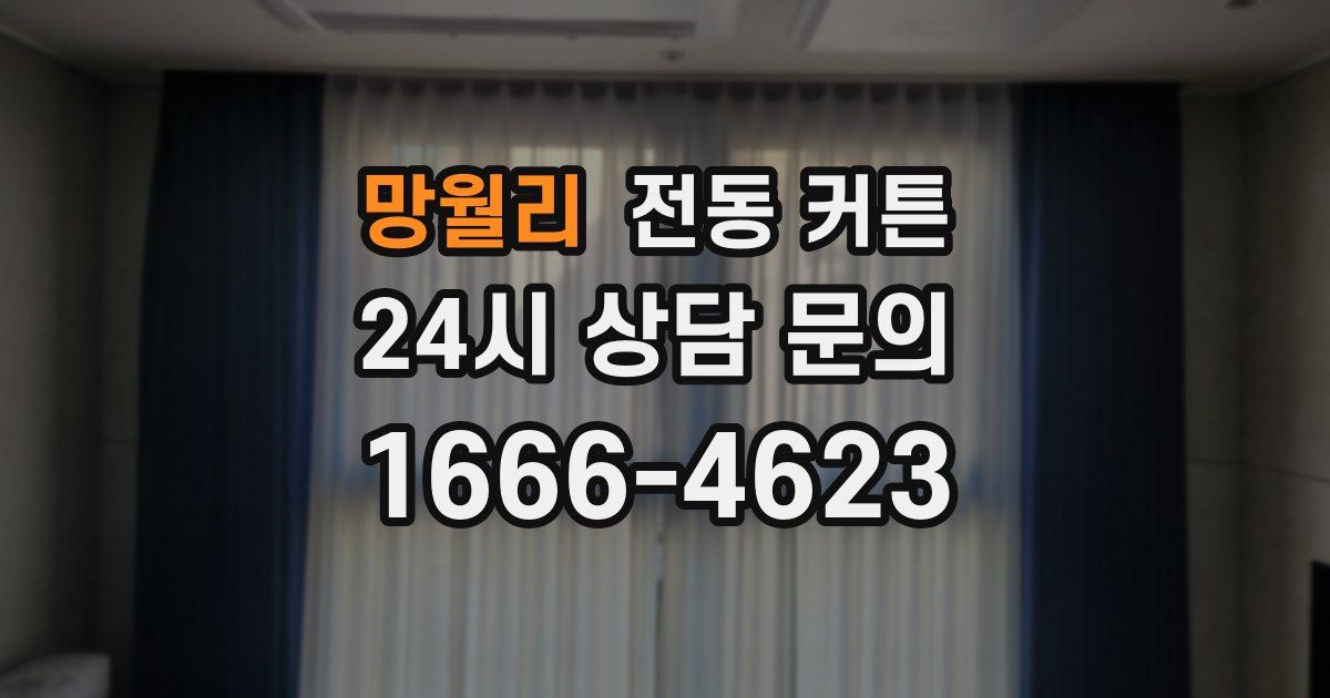 망월리 전동 커튼