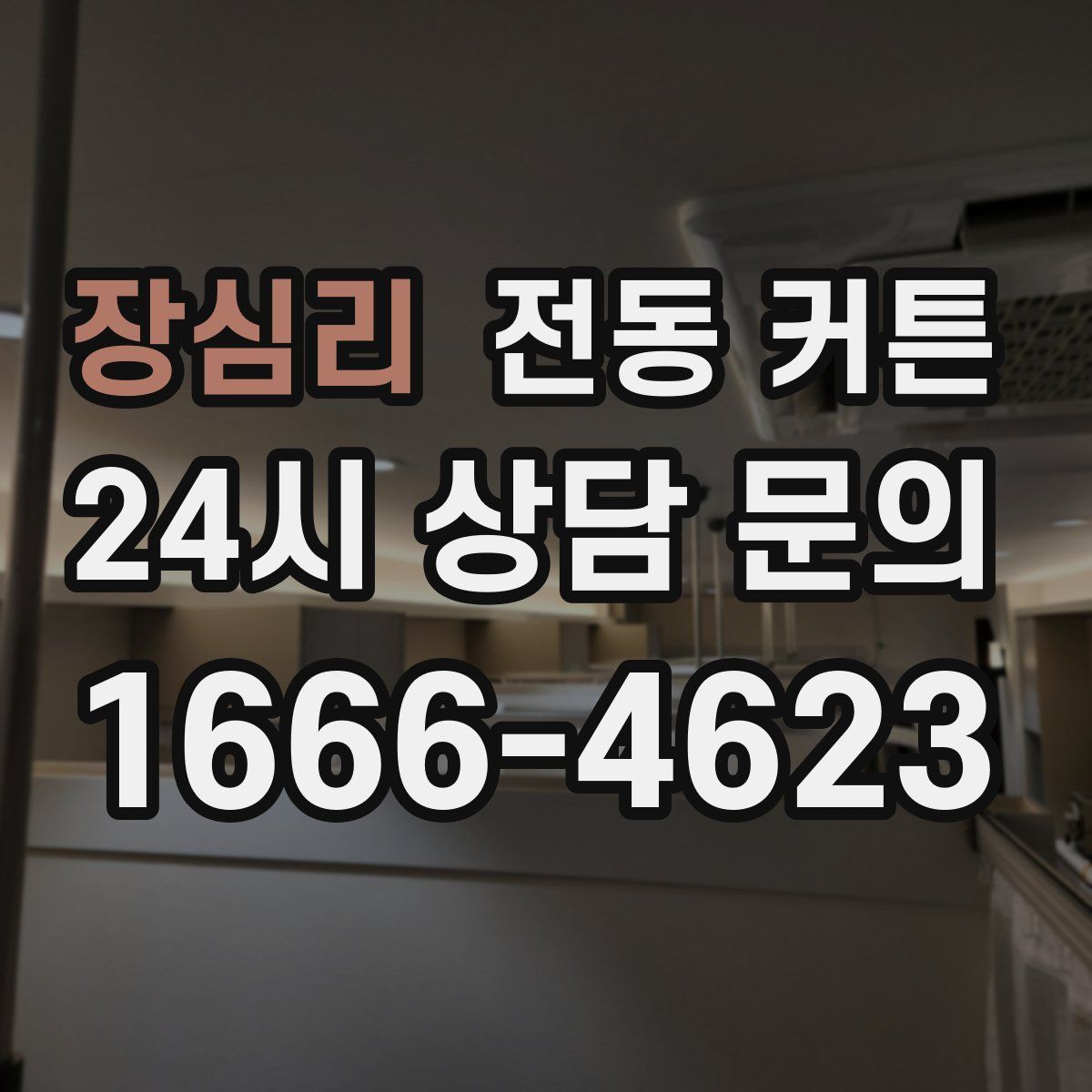 장심리 전동 커튼