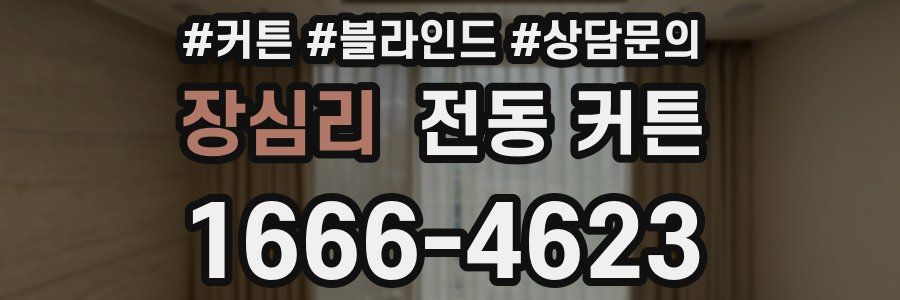 장심리 전동 커튼