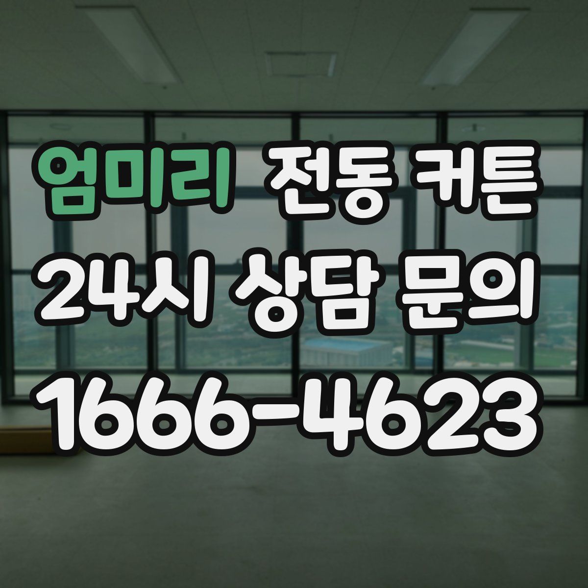 엄미리 전동 커튼