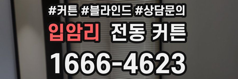 입암리 전동 커튼