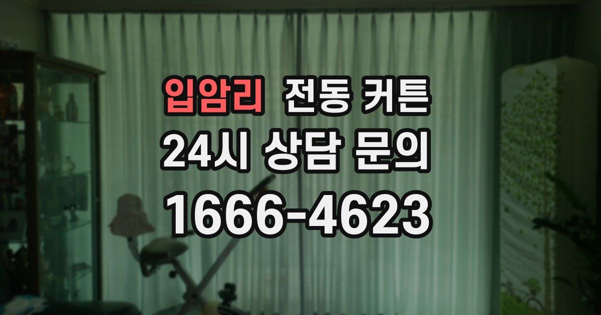 입암리 전동 커튼