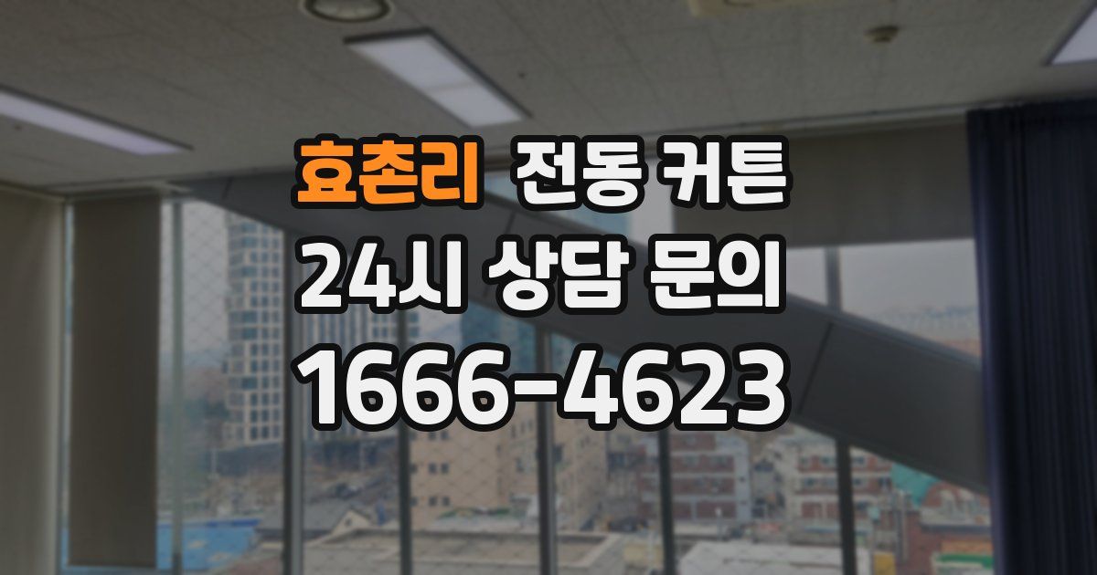 효촌리 전동 커튼