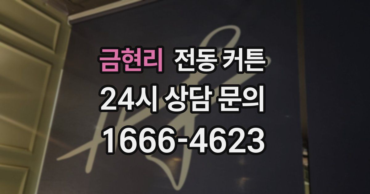 금현리 전동 커튼