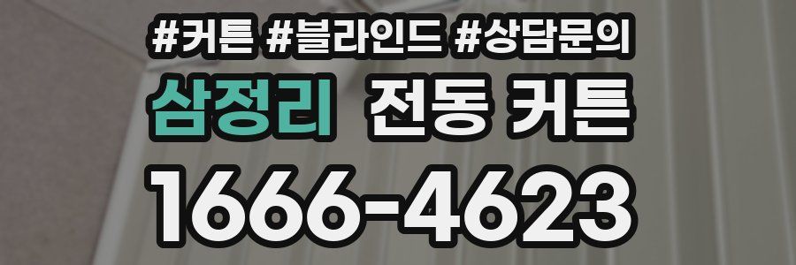삼정리 전동 커튼