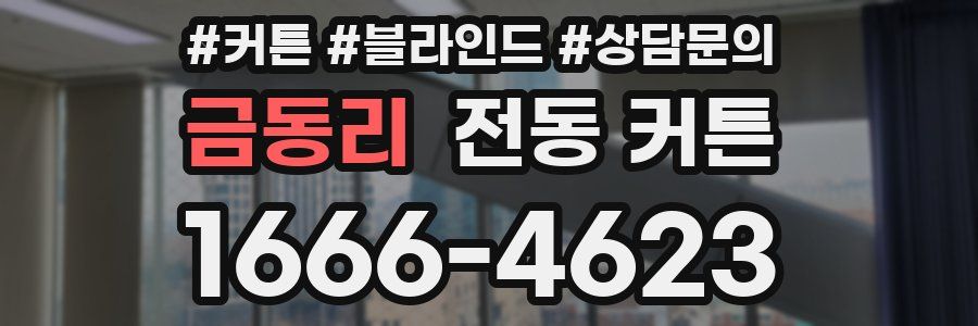 금동리 전동 커튼